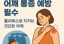 어깨 통증, 왜 생기고 어떻게 예방할까 ― 현대인의 필수 과제 ‘어깨 안정성’ 회복